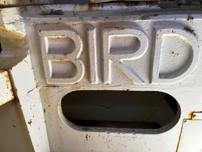 (3) Bird 36 x 72 solid bowl decanter centrifuges, 316SS.