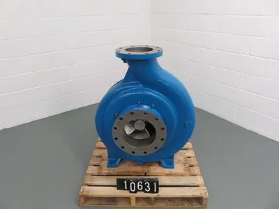 USED Goulds 3175