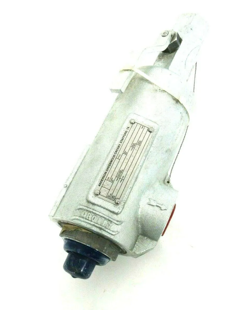 NEW ANDERSON GREENWOOD CROSBY 965101M-D RELIEF VALVE .75×1 2700PSI