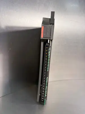 Allen Bradley 1771-IAD /D 120V Ac/Dc Input Module Rev C01 (7.3.5)