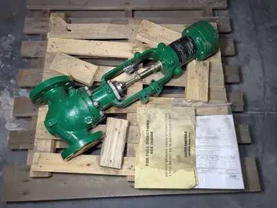 2" Class 300 Globe Valve w/ Actuator Type 655