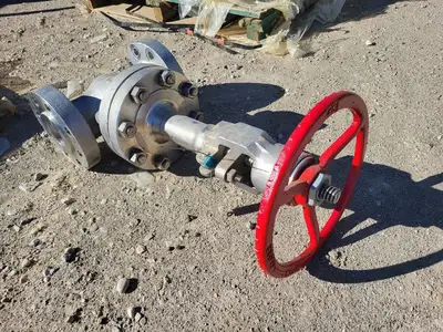 3" Class 900 Globe Valve B16.34