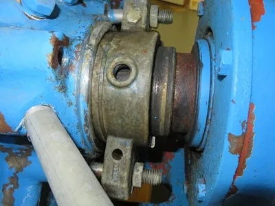 USED Goulds 3175