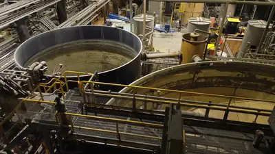 Gold Process Plant