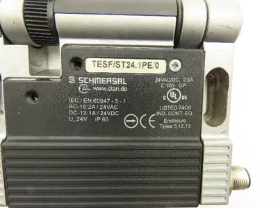 Schmersal TESF/ST24.1PE Safety Limit Switch Hinged 180° Swing