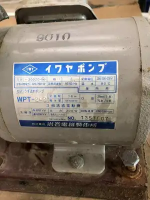 IWY WPT-202 Brass Air Pump 200/200-220V 220/260W 3PH 18m