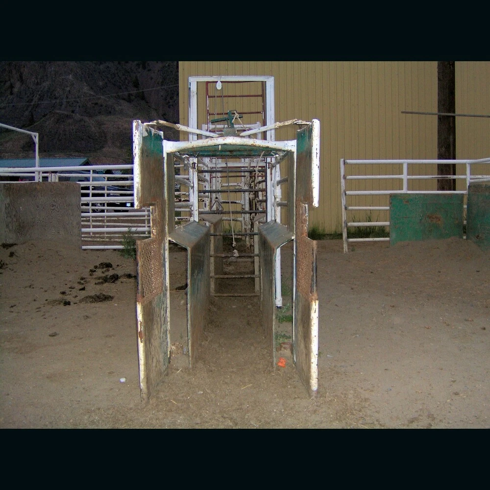 Custom Built Roping Chutes.