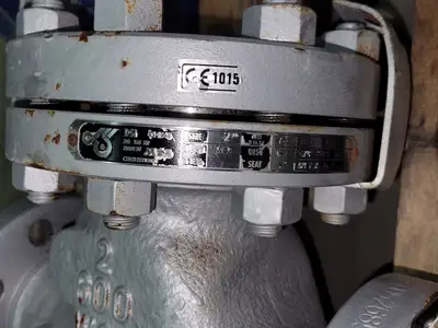 USED DSI VALVES 165 XU