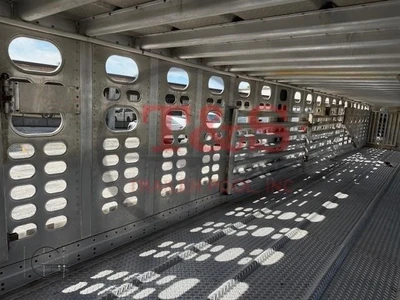 Used 2023 WILSON _UNKNOWN_ Livestock Trailers Illinois US | T&S Trailer Pool #1509470