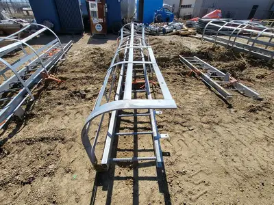 18.5ft. Steel Caged Ladder