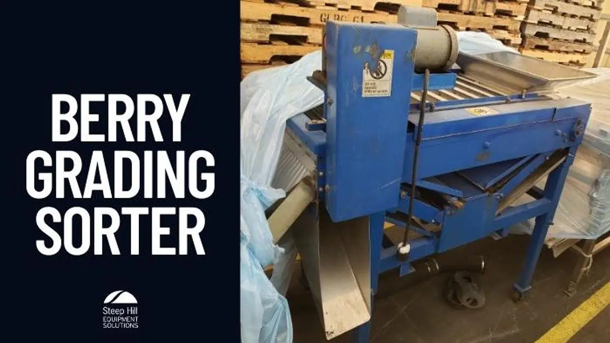 Berry Grading Sorter II