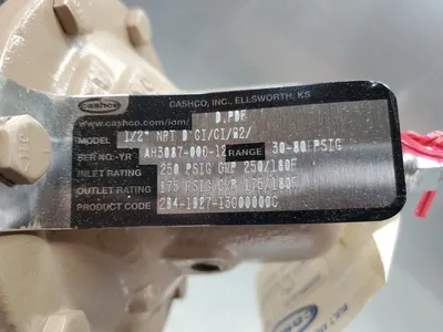 CASHCO AH3087-000-12 1/2" NPT D CI/CI/B2/ REGULATOR, 30-80 PSIG. 6D-21