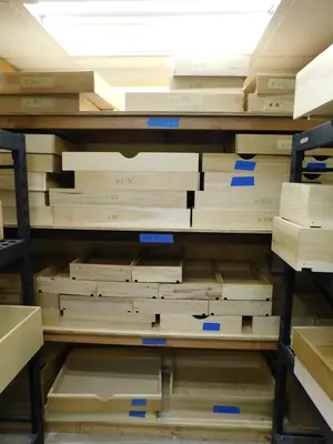 Used _UNKNOWN_ _UNKNOWN_ Pallet Racking Florida US | Thompson Auctioneers #1312117