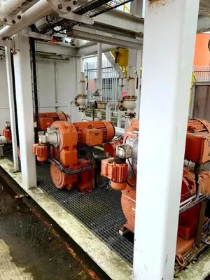 (2) Swaco CD 600 FH drilling mud centrifuges, A890 duplex SS.