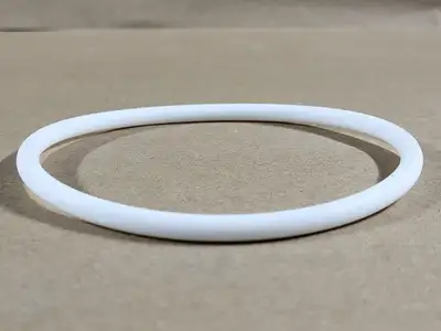 Wilden Teflon O-Ring 15-1200-55 (Bag of 16 pcs)