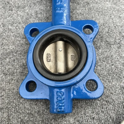 New | in-Stock WHEATLEY BFV-025L Pump & Valve Parts California US | Davliegogo LLC #1706931