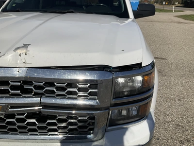 Used 2014 CHEVROLET SILVERADO 1500 Pickup Trucks Michigan US | Miedema Asset Management Group #1568241