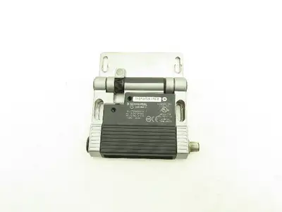 Schmersal TESF/ST24.1PE Safety Limit Switch Hinged 180° Swing