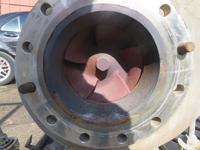 USED Goulds 3196 XLT