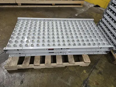 Used HYTROL ROLLER BALL TRANSFER  CONVEYOR Roller Conveyors Wisconsin US | Packer City Sales #1298039