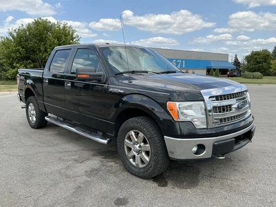 Used 2013 FORD F150 Pickup Trucks Michigan US | Miedema Asset Management Group #1423579