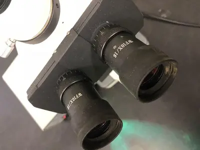 Cole Parmer Microscope B2-SERIES
