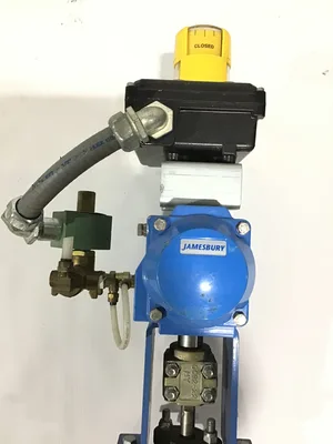 Jamesbury C/VPVL250 DA BC Pneumatic Actuator Valve