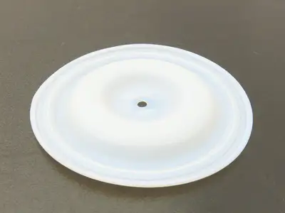 Nomad 01-1010-55 NSNP Pump Diaphragm Primary PTFE Used In Wilden 1/2" Pumps