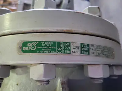 6" Class 300 Gate Valve B16.34