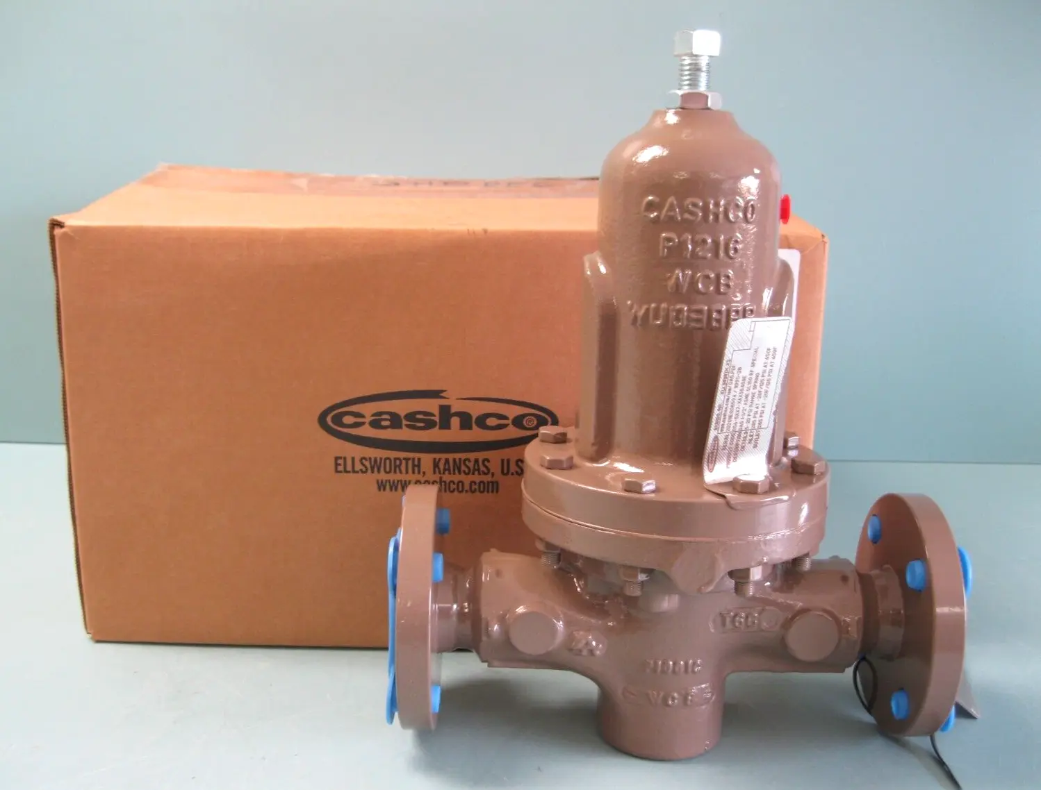 NEW Cashco D56-5XX7-XAX55488E