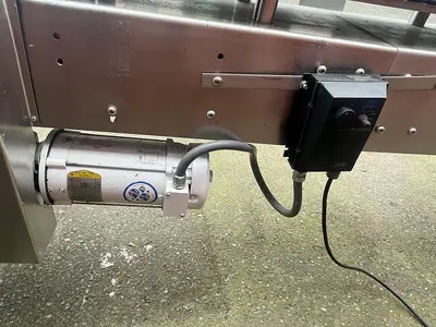 17'L Inclined Modular Conveyor