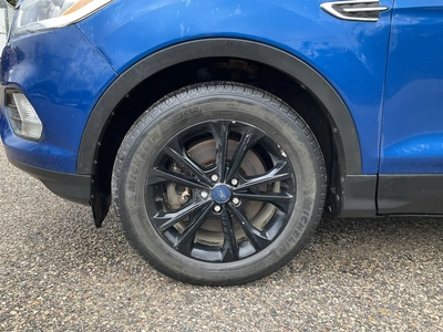 Used 2019 FORD ESCAPE SUVs Michigan US | Miedema Asset Management Group #1411161
