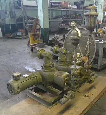 SPC8131  Pump Bran-Luebbe CEREX diaphragm metering pump, Stainless Steel Contact Parts