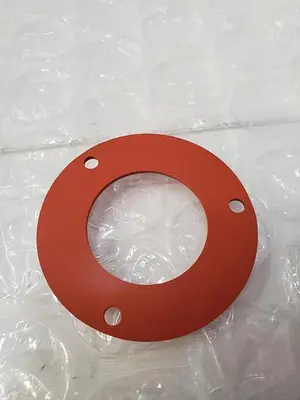 USED GASKET 013704