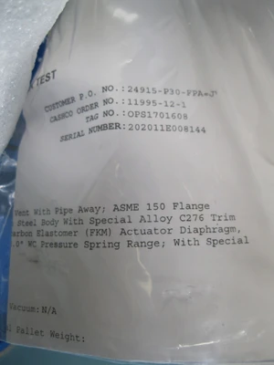 NEW Cashco 55AHXDB300X0-55148