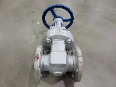 2" Class 150 Gate Valve B16.34