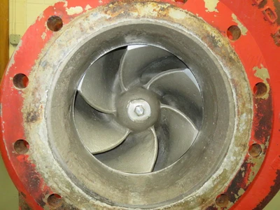 USED Goulds 3175
