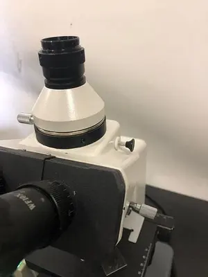 Cole Parmer Microscope B2-SERIES