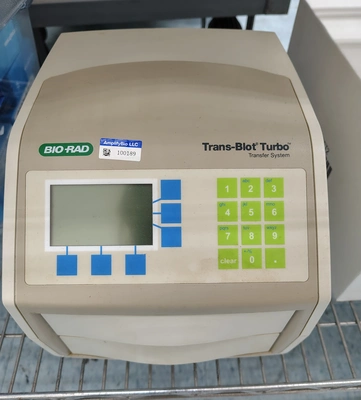 Used BIORAD _UNKNOWN_ Western Blotting California US | Biotech Equipment Sales #1464597
