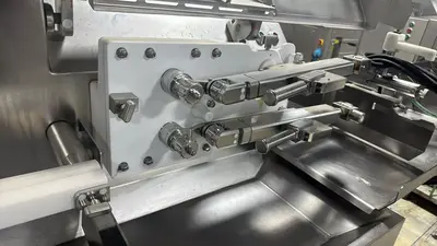 Used 2016 VEMAG CC215 Food Extruders Illinois US | M&M Equipment Corp. #1266963