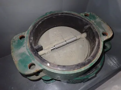 8 1/2" Check Valves