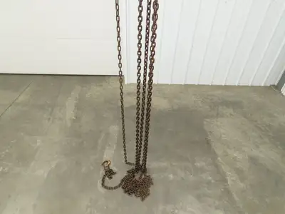 CM Cyclone 1 Ton 2000Lb Manual Chain Fall Hand Hoist 29' Lift