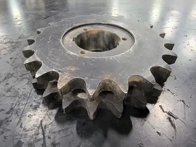 Roller Chain Sprocket D100Q21