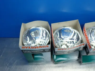 NEW SYLVANIA 250BR40/RP
