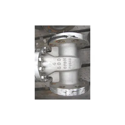 EAGLE AMERICA 4" STAINLESS STEEL GATE VALVE - L SERIES