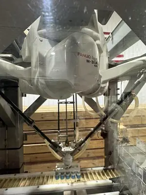 Used 2012 FANUC FANUC M3IA/6S DELTA BOT Pick & Place Machines Michigan US | RAB Industries, Inc. #184203