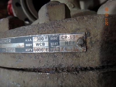 Lunkenheimer 6", Class 300, WCB, Gate Valve