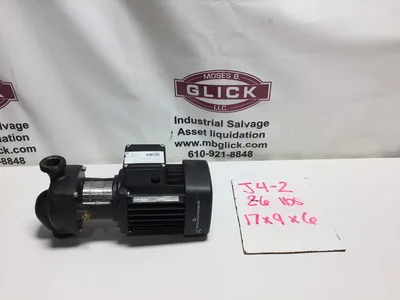 Grundfos B98505020P214180043 Inline Pump