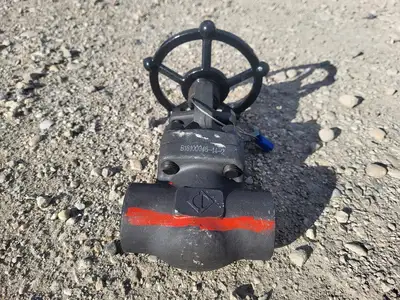1" Class 800 Gate Valve API 602