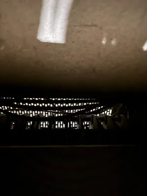 Henan Doing Environmental Protection Technology Co Ltd 1000KG RCSM Processing Lines | Alan Ross Machinery (17)